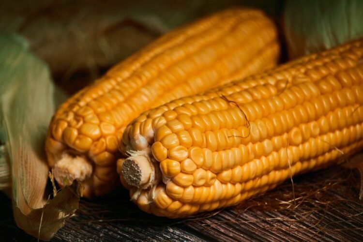 Colombian Creamed Sweet Corn Dessert