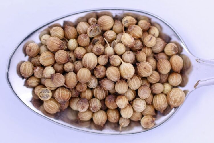 Coriander Seed