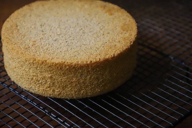 Costa Rican Three-Milk Sponge Cake with Cinnamon Meringue
