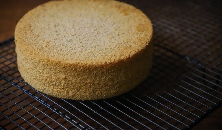 Costa Rican Three-Milk Sponge Cake with Cinnamon Meringue