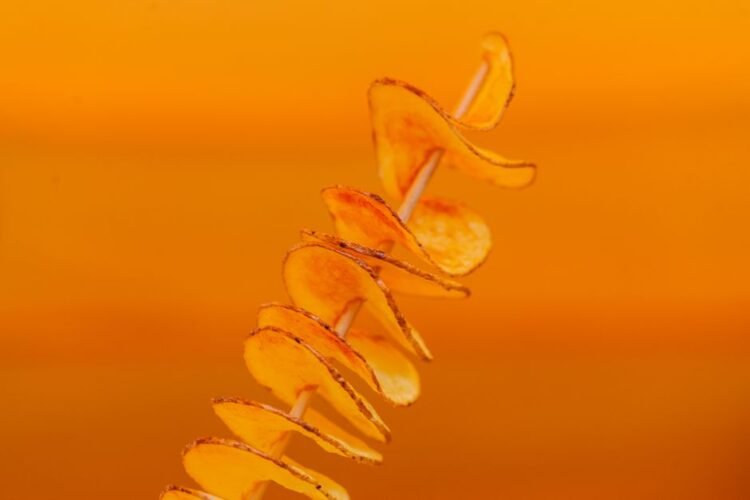 Crispy Spiral Korean Tornado Potato on a Stick