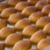 Crispy UAE Honey Fritters