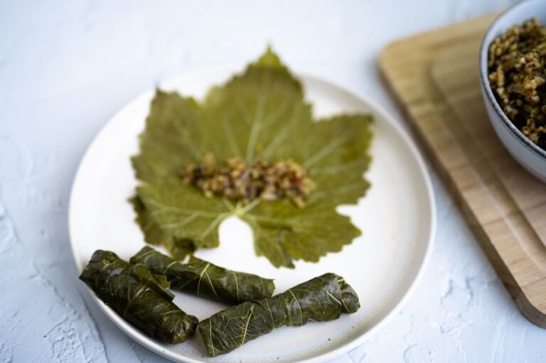 Cyprus Stuffed Vine Leaves