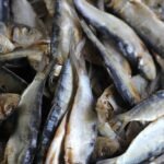 Dutch Raw Herring with Onions and Pickles