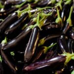 Eggplant