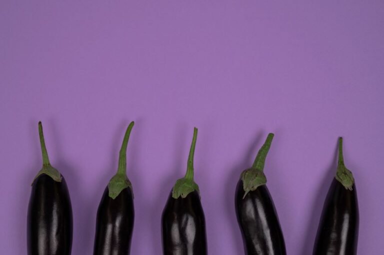 Eggplant (Aubergine)
