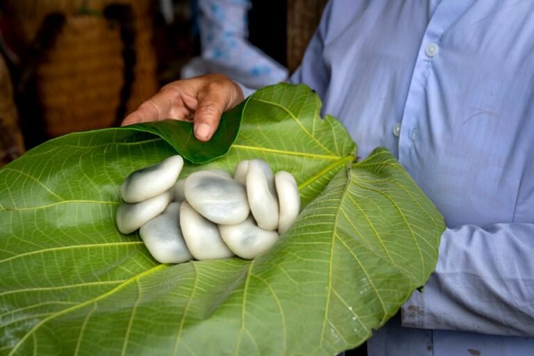 Filipino Sweet Steamed Rice Cakes