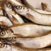 Finnish Pickled Herring with Onions