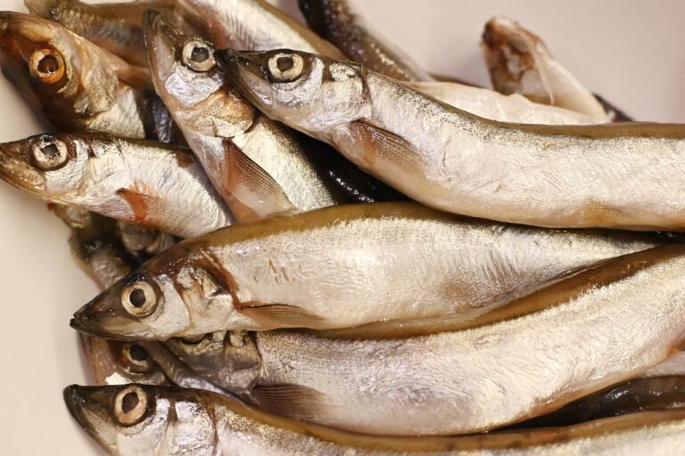 Finnish Pickled Herring with Onions