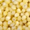 Gambian Sour Millet Porridge