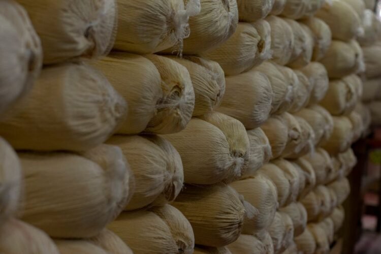 Guatemalan Small Tamales