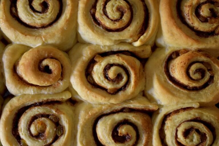 Gujarati Gram Flour Pinwheel Rolls