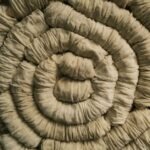 Hungarian Walnut Roll