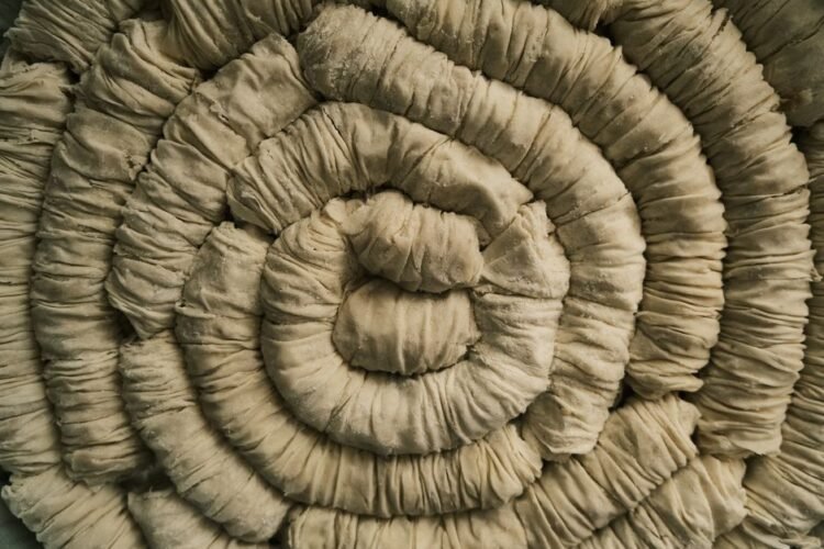 Hungarian Walnut Roll