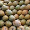 Indian Mango Leather Snack