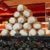 Japanese Custard Cream Sweet Buns