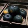 Kabocha Squash