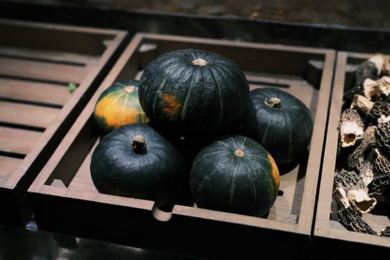 Kabocha Squash