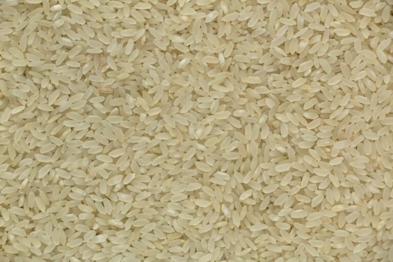 Karnataka Lemon Rice (Chitranna)