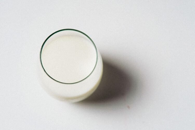 Kazakh Sour Milk Drink
