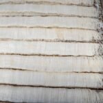 Kerala Steamed Rice Noodles in Sweet Coconut Milk
