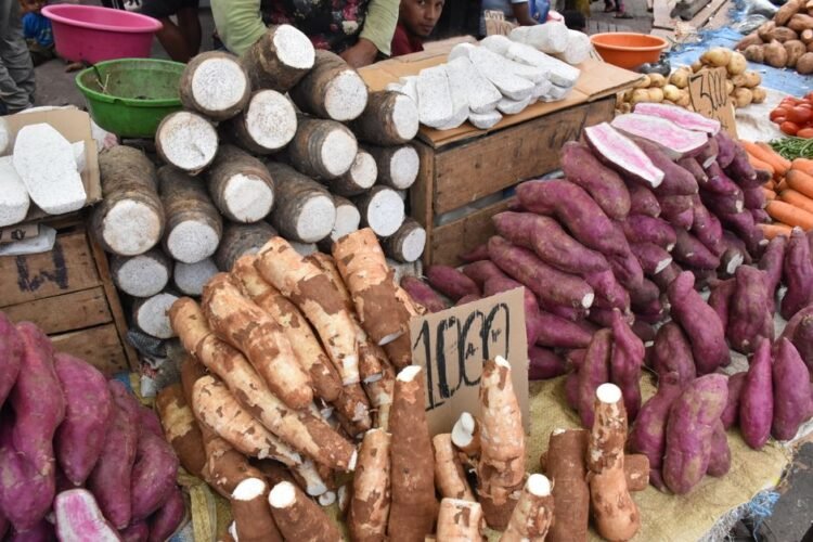 Kudzu Root