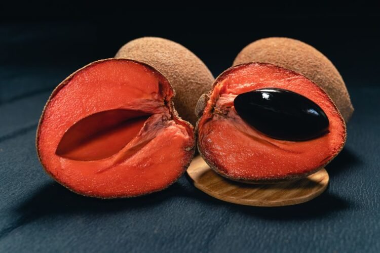 Lucuma