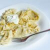Pelmeni Russian Dumplings