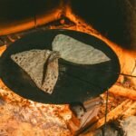 Piadina Romagnola Classic