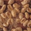 Roman Semolina Gnocchi Baked with Pecorino and Butter