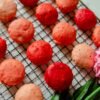 Sakura Flavored Spring Mochi Cake