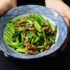 Shanxi Vinegar Pork Strips