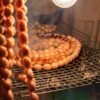Sierra Leone Spiced Grilled Sausage