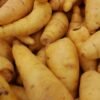 Skirret