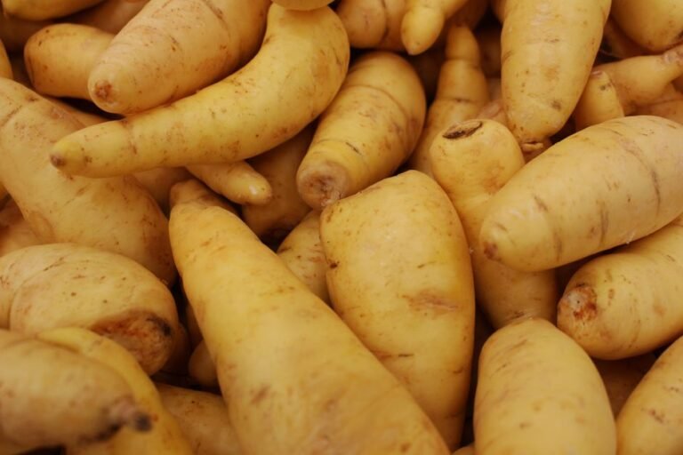 Skirret