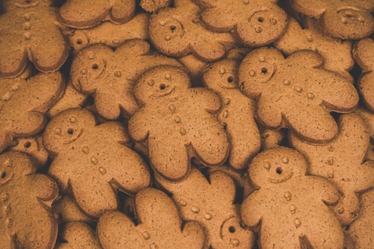 Speculaas Dutch Spice Cookie