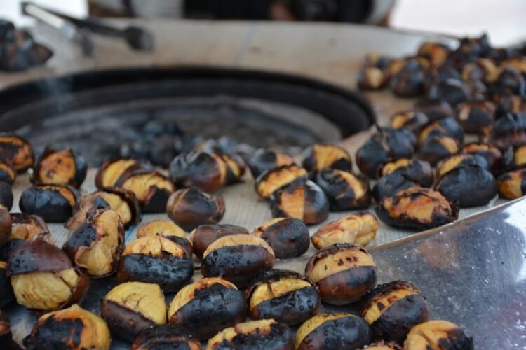 Sweet Roasted Chestnuts Japanese Street Snack