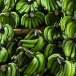 Thai Bananas in Sweet Coconut Sauce