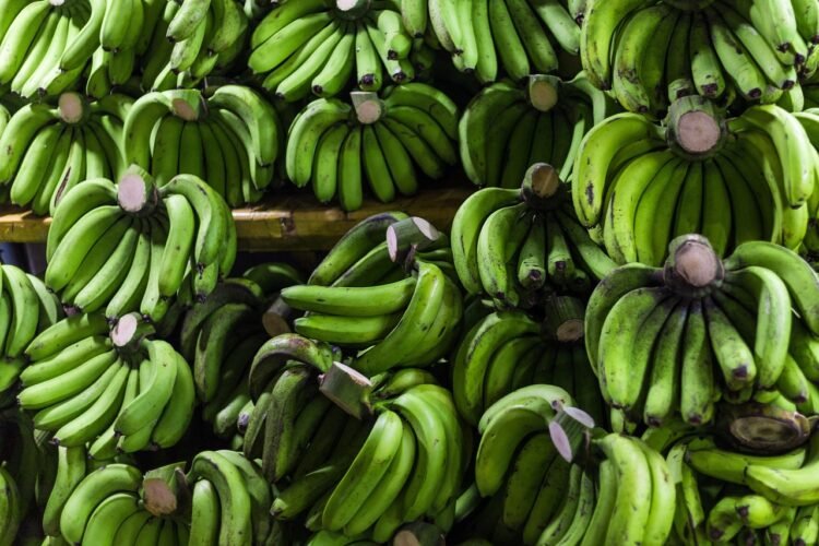 Thai Bananas in Sweet Coconut Sauce