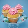 Thai Steamed Coconut Custard Cupcakes