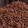 Tiger nut