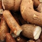 Togo Style Steamed Cassava Grains