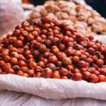 Togolese Fermented Locust Bean Condiment