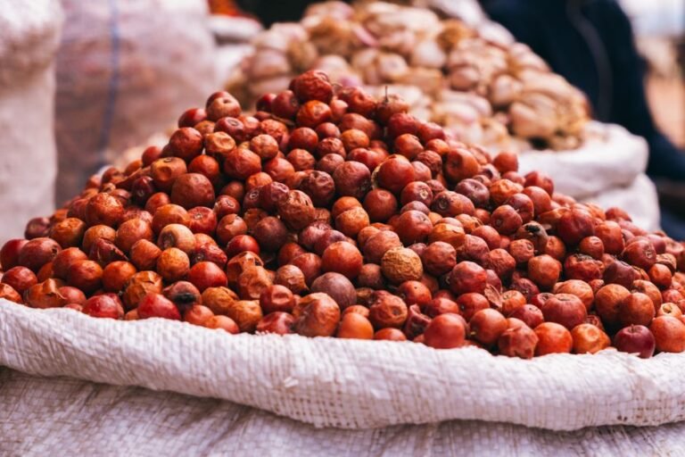 Togolese Fermented Locust Bean Condiment