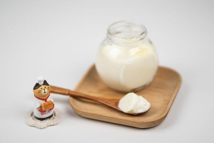 Traditional Mongolian Cultured Yogurt