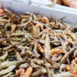 Turkish Black Sea Pan-Fried Anchovies