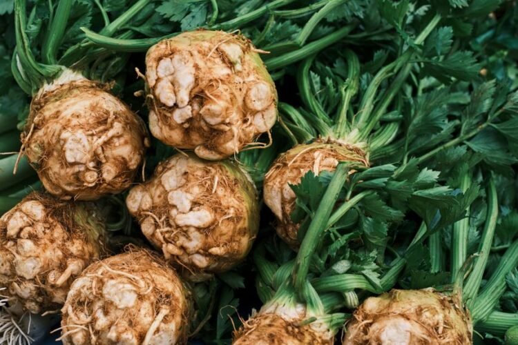 Turkish Celery Root Braised in Olive Oil