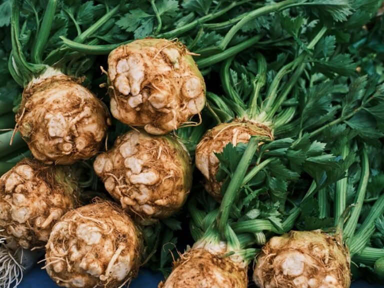 Turkish Celery Root Braised in Olive Oil