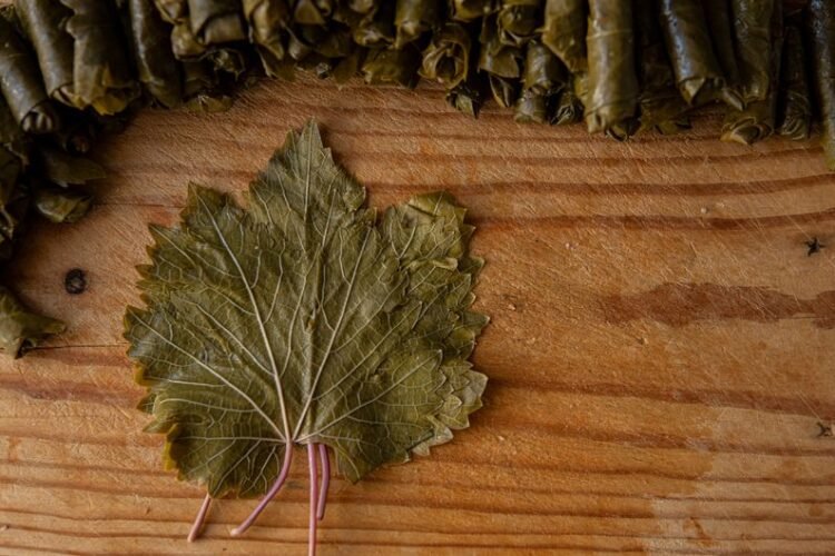 Turkish Stuffed Grape Leaves