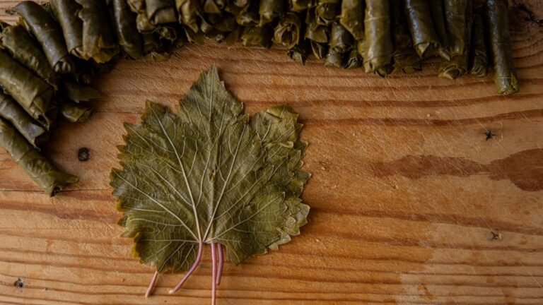 Turkish Stuffed Grape Leaves